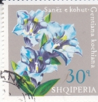 Stamps : Europe : Albania :  Flor