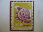 Stamps Indonesia -  Provincia de Irian Barat-Flor de Maniltoa Gemmipara (Babaceae) - Indonesia, Irian Occidental.