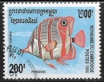 Stamps : Asia : Cambodia :  Peces - Chelmon rostratus