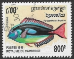 Stamps : Asia : Cambodia :  Peces - Paracanthurus hepatus)