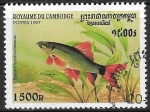 Stamps : Asia : Cambodia :  Peces - Epalzeorhynchos frenatus