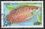 Stamps : Asia : Cambodia :  Peces - Colisa lalia