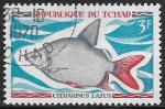Stamps Chad -  Peces - Citharinus latus