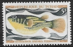 Stamps Chad -  Peces - Tetraodon fahaka strigosus