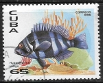 Stamps Cuba -  Peces - Hypoplectrus indigo