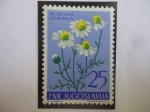 Stamps Yugoslavia -  Matricaria chamomilla - Serie: Flores 1955.