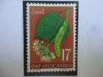 Stamps Yugoslavia -  Tilia Cordata - Serie: Flores 1955.