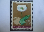 Sellos de Europa - Yugoslavia -  Papaver Somniferum - Serie: Flores 1955