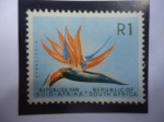 Stamps : Africa : South_Africa :  Strelitzia (Strelitzia reginae) - Sello de 1 Rand Sudáfricano