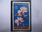 Stamps Indonesia -  Dendrobium Phalaenopsis- Serie: Día Social - Sello de 3+1 Rupia de Indonesia.
