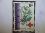 Stamps : Africa : Democratic_Republic_of_the_Congo :  República democrática (Kinshasa)-Zaire-Serie:Cruz Roja-Strophanthus Sarmentosus-sello de 10 céntimo 