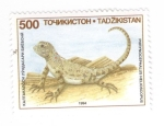 Stamps Tajikistan -  Phrynocephalus helioscopus