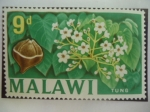 Sellos del Mundo : Africa : Malawi : Árbol Tung - Tung de Aceite (Euforbiáceas) - Serie: 1964/67 - Sello de 9 peniques de Malawi. 