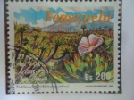 Stamps Venezuela -  20 Años del Tratado de Cooperación Américana -  - Neblinaria (Neblinaria celiae)