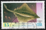 Stamps : America : Cuba :  Peces - Raja batis)