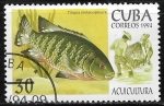 Stamps Cuba -  Peces - Tilapia melanopleura