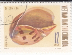 Stamps Vietnam -  Caracola
