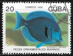 Stamps Cuba -  Peces - Acanthurus coeruleus