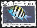 Stamps Cuba -  Peces - Abudefduf saxatilis