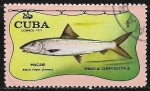 Stamps Cuba -  Peces - Albula vulpes