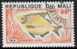 Sellos del Mundo : Africa : Mali : peces - Citharinus latus