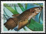 Stamps Nicaragua -  Peces - Pterolebias longipinnis