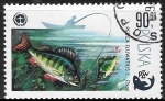Stamps Poland -  Peces - Perca fluviatilis