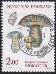 Stamps France -  Gyroporus cyanescens