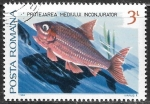 Stamps Romania -  Peces -  Environment protection