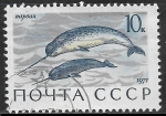 Stamps Russia -  Peces - 