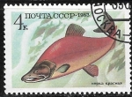 Stamps Russia -  Peces - Oncorhynchus nerka