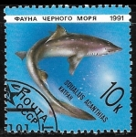 Stamps Russia -  Peces - Squalus acanthias