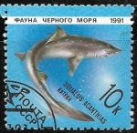 Stamps Russia -  Peces - Squalus acanthias