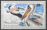 Sellos de Africa - Rwanda -  aves
