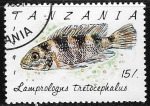 Stamps : Africa : Tanzania :  Peces -Lamprologus tretocephalus