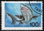 Stamps : Africa : Tanzania :  Peces - Pristiophorus cirratus