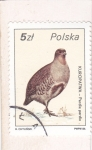 Stamps : Europe : Poland :  ave-perdiz
