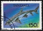 Sellos de Africa - Tanzania -  Peces - Triaenodon obesus
