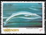 Stamps Vietnam -  Mamífero marinos - Balaenoptera musculus