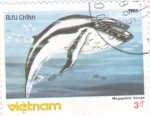 Sellos del Mundo : Asia : Vietnam : cachalote