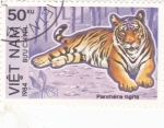 Stamps Vietnam -  Tigre