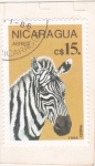 Stamps Nicaragua -  Cebra