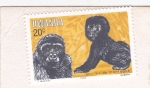 Stamps Rwanda -  Gorilas de montaña