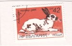 Stamps Bulgaria -  Conejo