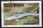 Stamps Vietnam -  Peces - Triakis semiofasciata