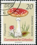 Stamps Germany -  Amanita Muscaria