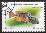 Sellos de Africa - Madagascar -  Peces - Labrus bimaculatus