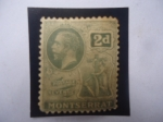 Stamps United Kingdom -  Isla Montserrat (Mar Caribe) - King George V - Postage Revenue-Sello de 2 penique (viejo)