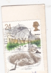 Stamps United Kingdom -  Patos