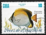 Sellos de America - Cuba -  peces de acuario - Chaetodon sedentarius